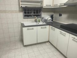 Bishan Loft (D20), Condominium #512218121